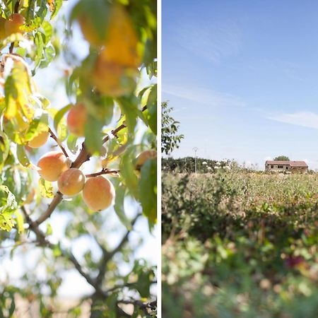 Pensjonat Agriturismo Il Mondo Parma Zewnętrze zdjęcie