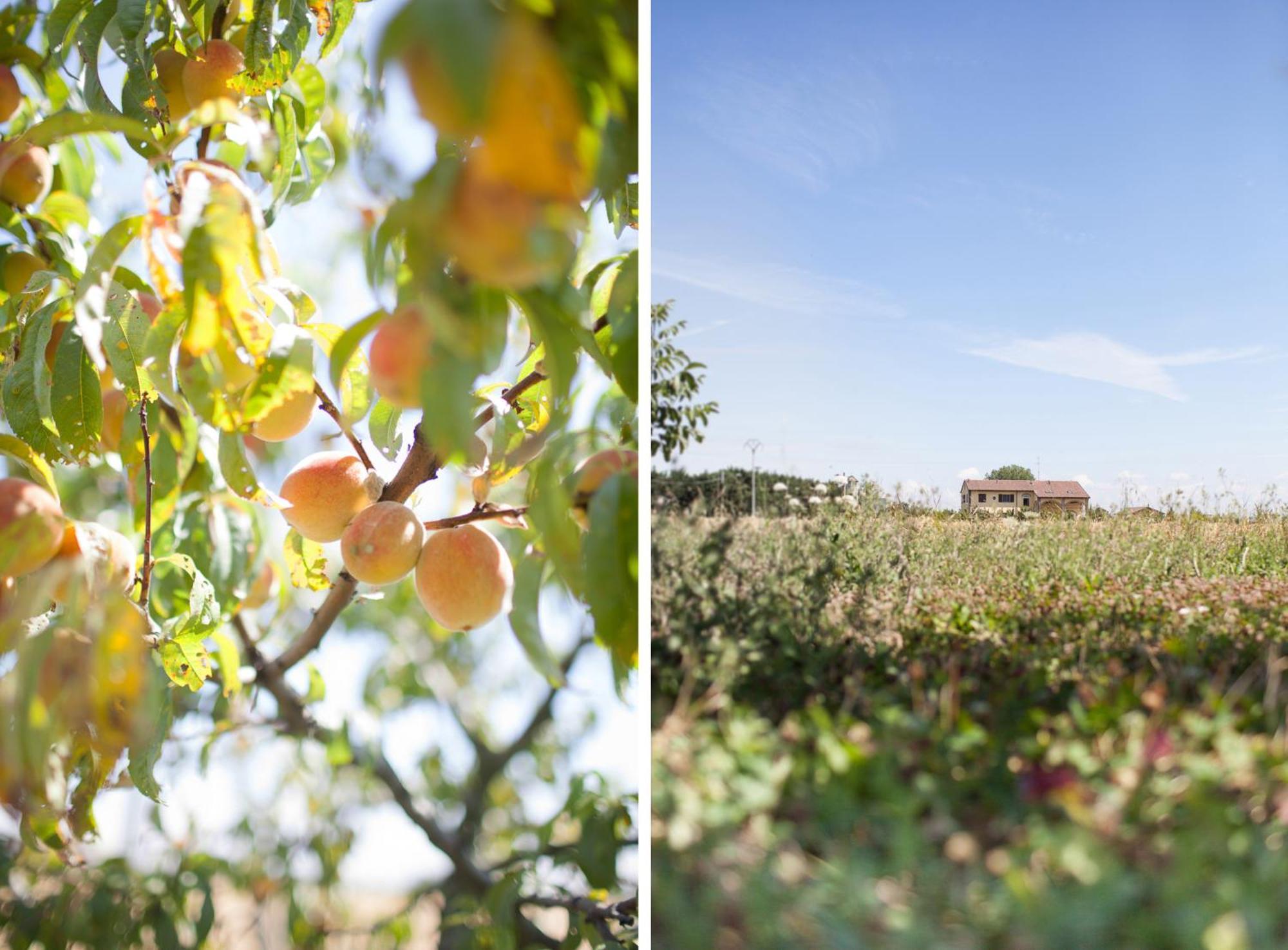 Pensjonat Agriturismo Il Mondo Parma Zewnętrze zdjęcie